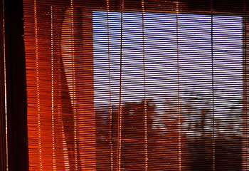 Bamboo Shades - Alamo Oaks